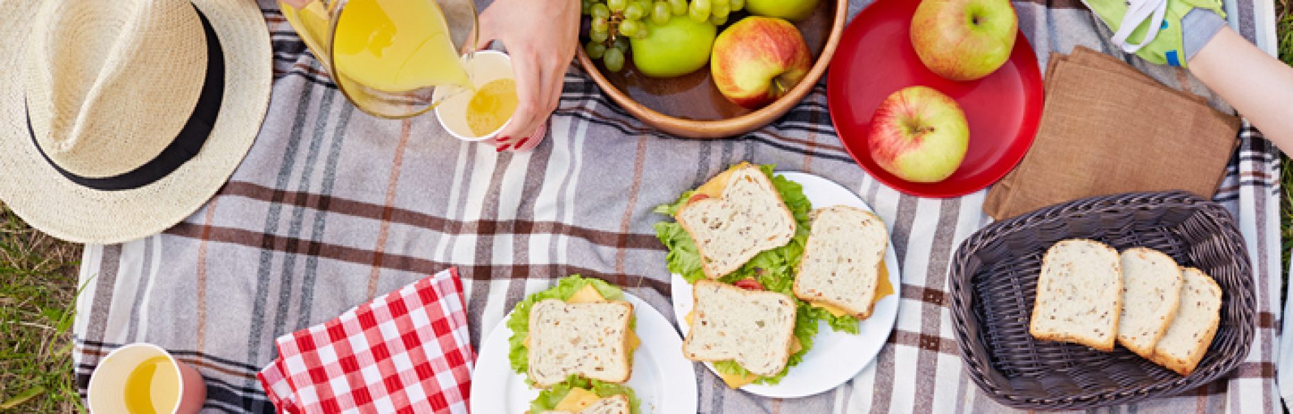 Best Picnic Spots in Newport and on Aquidneck island