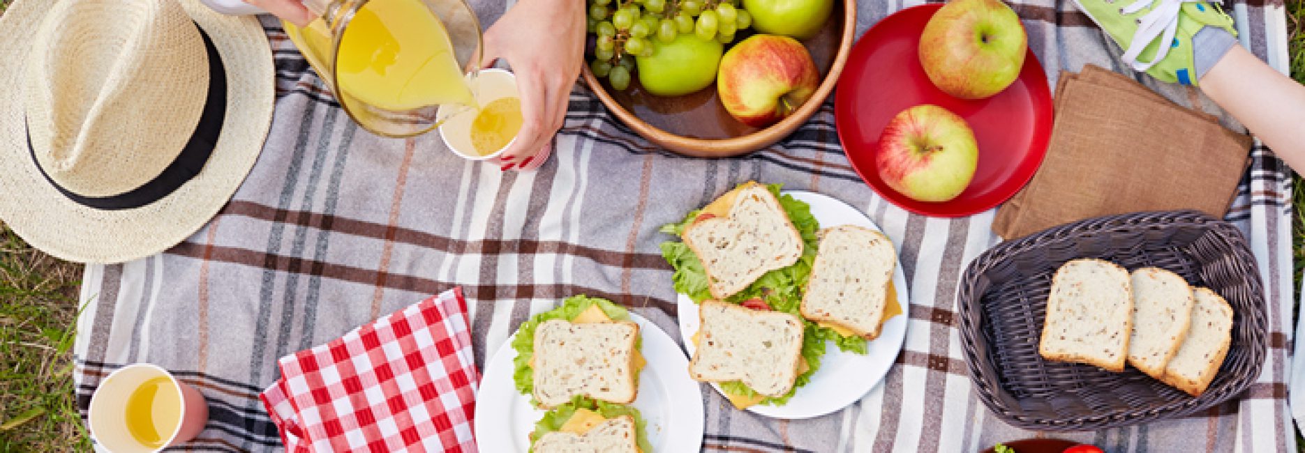 Best Picnic Spots in Newport and on Aquidneck island