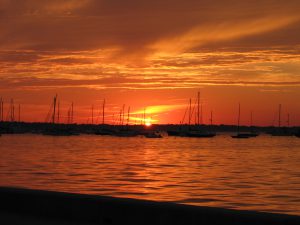newport ri harbor sunset sailboats